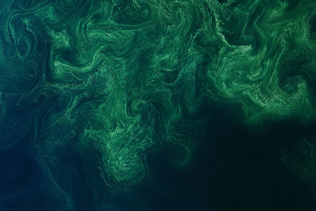 Turning Pond Scum into Premium Skincare: Deep Blue BioTech’s Innovative Use of Blue-Green Algae for Superior Chemicals
