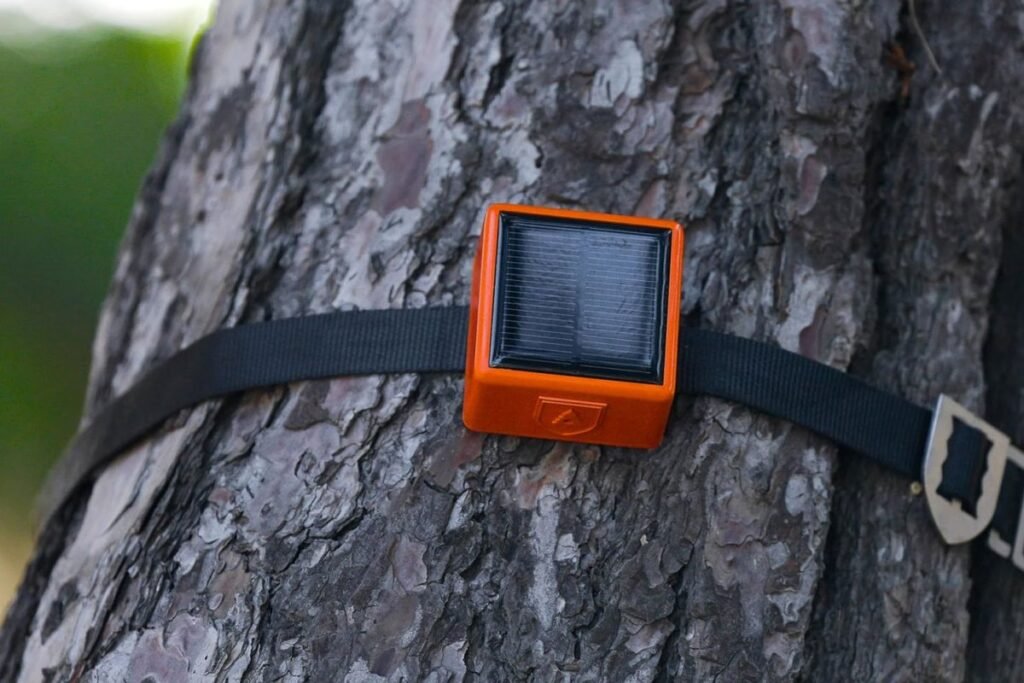 ForestGuard is creating the ‘Internet of Trees’ to detect fires sooner than ever